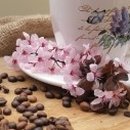 커피를부탁해 이미지