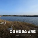 강원도 고성 송지호 사주 석호 관찰 ~ 아이들과 가볼만한곳 추천