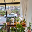 하나로꽃집 | 서천동꽃집 감성 꽃집 추천 "플로랑코"에서 봄맞이 생화 꽃다발 후기