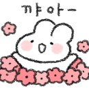 썬스코 이미지
