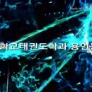 용인대 백현 태권도장 이미지