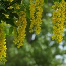 강남노인요양원 이미지