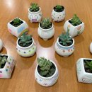 의료법인 한우리의료재단 이미지