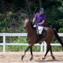 인천승마공원 이미지