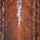 빛가람 전망대 이미지