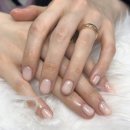 북면432 | 2026년 1월 기록 (많음 주의)