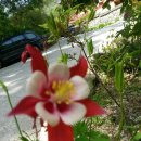 감성스피치 이미지