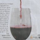 영동기획 Daum카페
