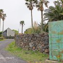 스테이만디 이미지