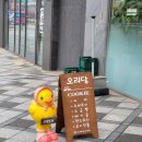 오리당 이미지