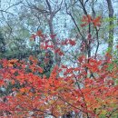 어물전. 망신은 꼴두기가 다 시킨다더니 이미지