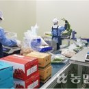 종합농산물 이미지