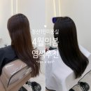 헤어에쓰 | 톤보정 염색 성공 장산역1인미용실 후기 [4월의 봄]
