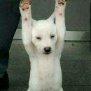 한가한 오후 이미지