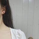 디자인동백