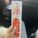 (주)제주해양레저체험파크 | 동부 여행,우도 여행/제주투어패스/포토스팟 정리...땅콩아이스크림, 훈데르트바서파크,뷰제주하늘승마&amp;ATV