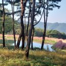 가산수피아 이미지