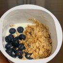 진보식품 | 스위치온 다이어트 3일 간헐적 단식 1주차 혀용식품 추천 / 후기