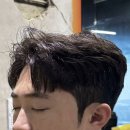 옐로우시티 이미지