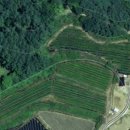 동로보건지소 이미지