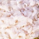 삼천포회센타 이미지