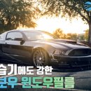 레인보우파크 이미지