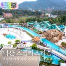 스플라스리솜 | 예산 덕산 스플라스리솜 후기, 겨울 워터파크 온천 여행