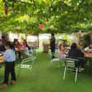 천양농장 이미지