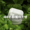 인셀덤US | 피부 본연의 힘을 깨워주는 홈케어 루틴 – ICD인셀덤