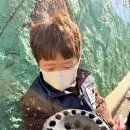 퍼펙트태권도 이미지