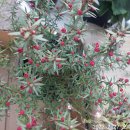 초읍시장 이미지