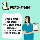 몽꾸르펫트하우스 이미지