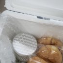 히포파운드
