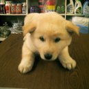 스마일 하우스 이미지