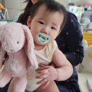 핑크버니 | 젤리캣 토끼인형 직구 후기 (핑크버니, 자수 서비스 포함)