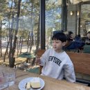 테라파시 이미지
