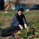 에버그린농장 이미지