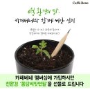 카페베네 - 강진군 보은로3길 40 | 카페베네