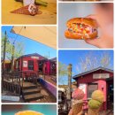 엘에이농장 | 미국서부 여행, 아리조나 아이스크림, 올리브 농장 퀸 크릭 올리브 밀, 라스트 찬스, 99 Ranch market...