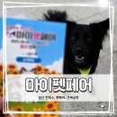 마이펫 | 2025 일산 마이펫페어 후기｜견체공학 어부바3 착용기 &amp; 반려견 추천템 총정리