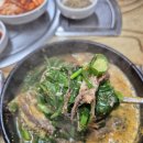 옥천 염소맛집 | 옥천 농장 직영 염소맛집 다녀온 내돈내산 솔직후기, 맛있네요.
