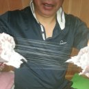 다시농장 이미지