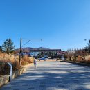 첫눈이 온다는데 국립현대미술관(과천) 전시회 관람 이미지