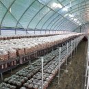 정승철농장 이미지