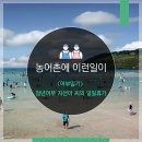 총각어부 네이버블로그