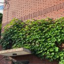 세중힐링의원 이미지