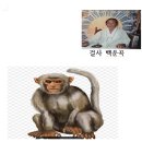 2028년 토정비법 🙉 이미지