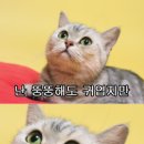 전통돼지국밥 이미지