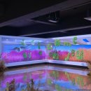 황리단길 생활문화센터 동호회룸 이미지