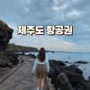 제주항공 제주예약센터노동조합 | 제주도 항공권 특가 땡처리 싸게 예매, 트립닷컴 할인코드